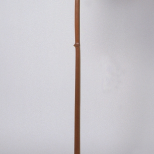 Music Stand