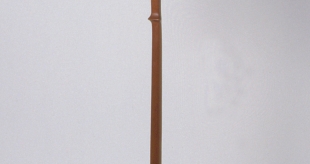 Music Stand